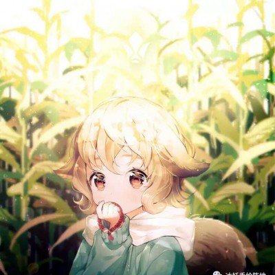 谢娜回应演唱会门票秒售罄